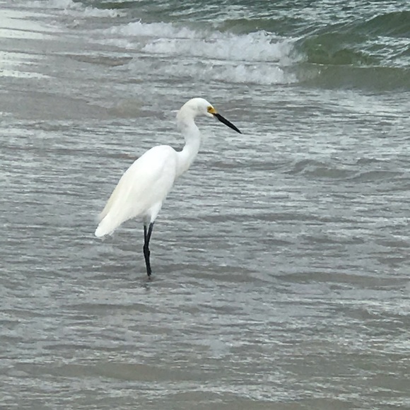 Meet your Posher, Ted - Picture 1 of 1